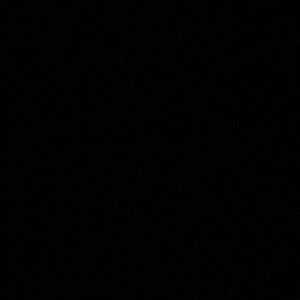 Meet your Posher, Gunnar